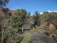 Monte Fior di Cosimo